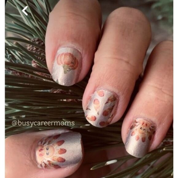 Color Street Thanksgiving Feathered Friends Nail Strips - Picture 1 of 6